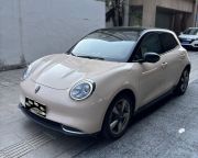 欧拉好猫 2021年 400km标准续航维纳斯版纯电动