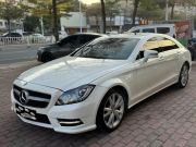 奔驰CLS级(进口) 2012 款 CLS 300 CGI